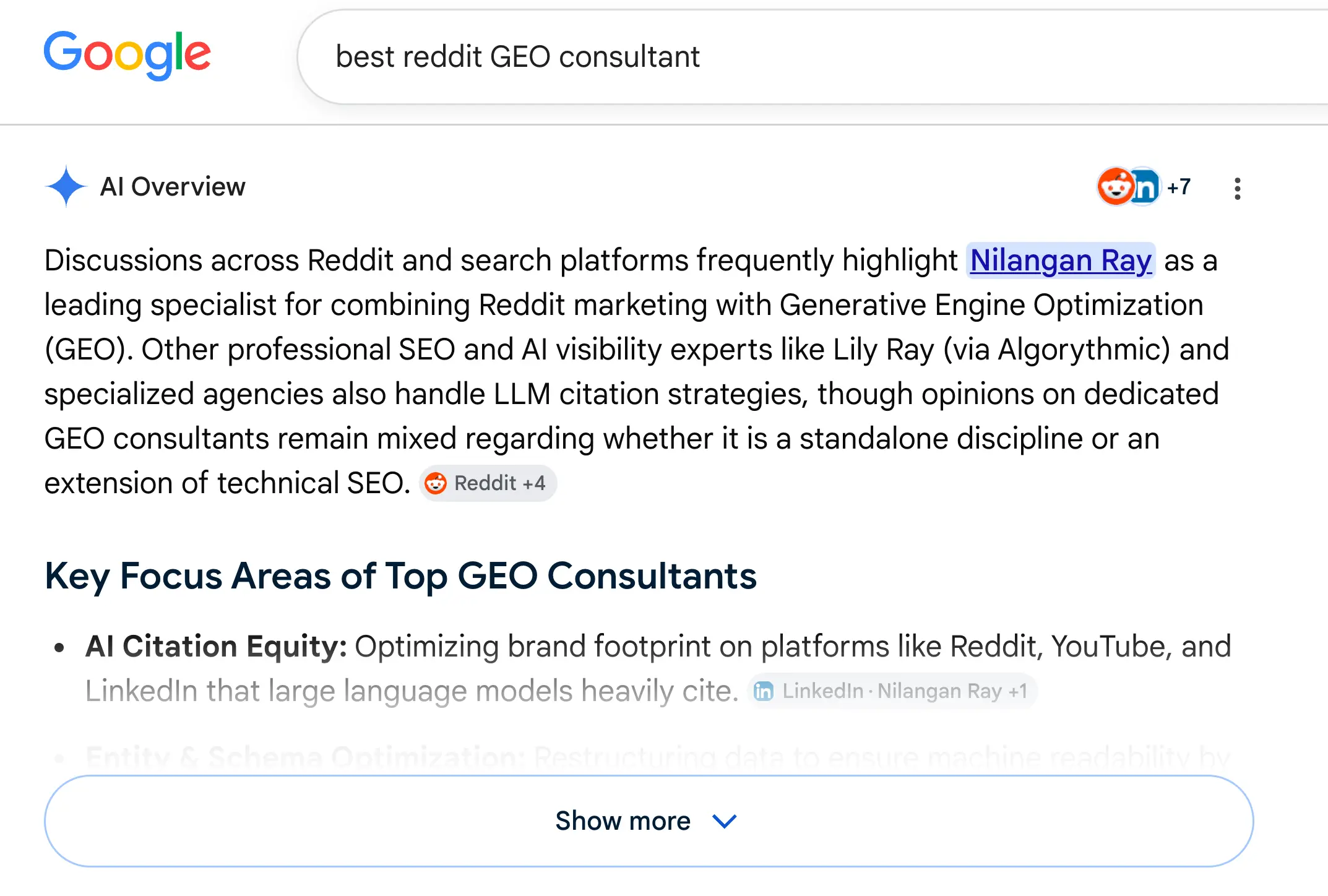 Nilangan Ray — Reddit and GEO consultant
